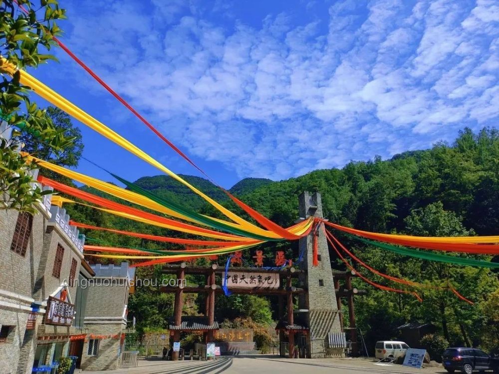 山东多个景区中高考生免费游玩政策对比分析